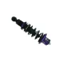 Zawieszenie gwintowane Street D2 Racing HONDA Civic 01-05 3D